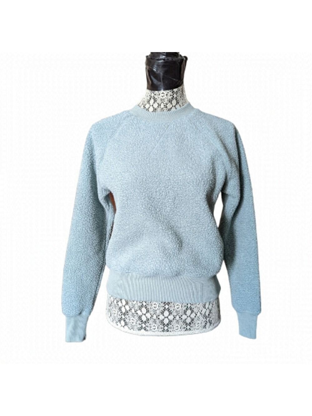 Everlane ReNew Fleece Raglan Sweatshirt